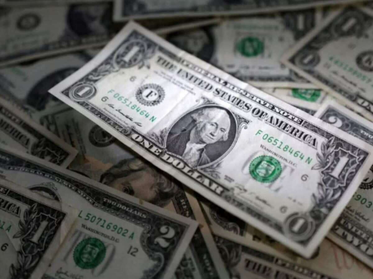 Dollar gains after relatively strong data, Aussie dollar tumbles