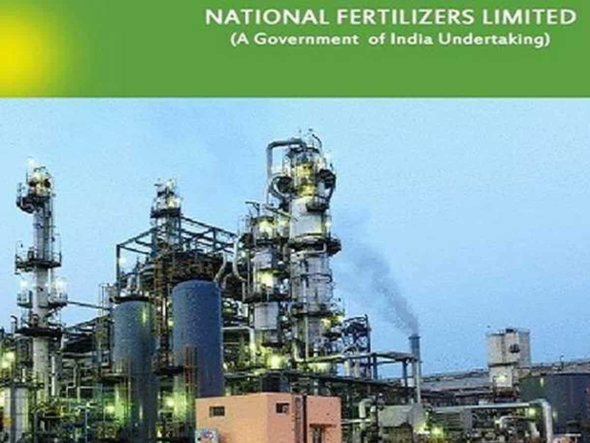 National Fertilisers Q1 Results: Company posts net loss of Rs 121.43 crore