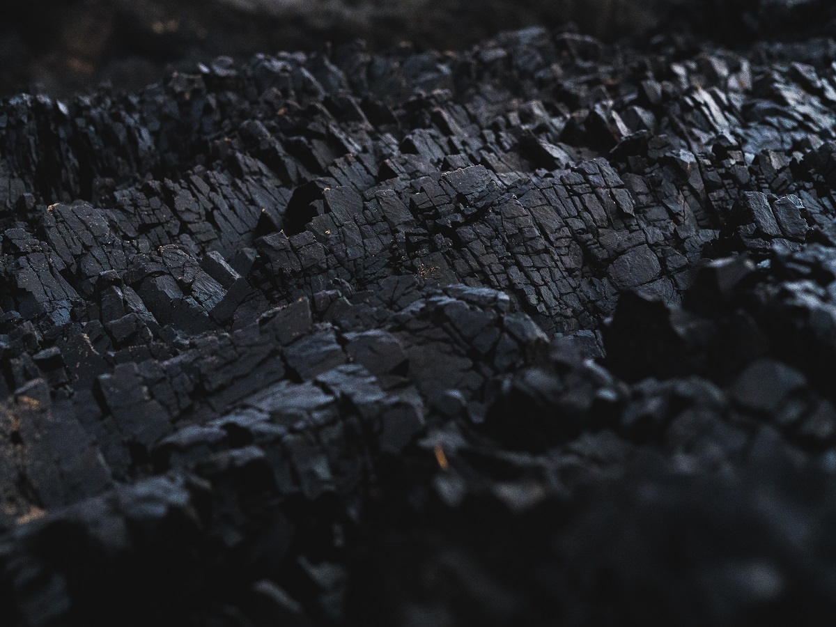 Coal India posts better-than-estimated numbers for Q1 FY24;
