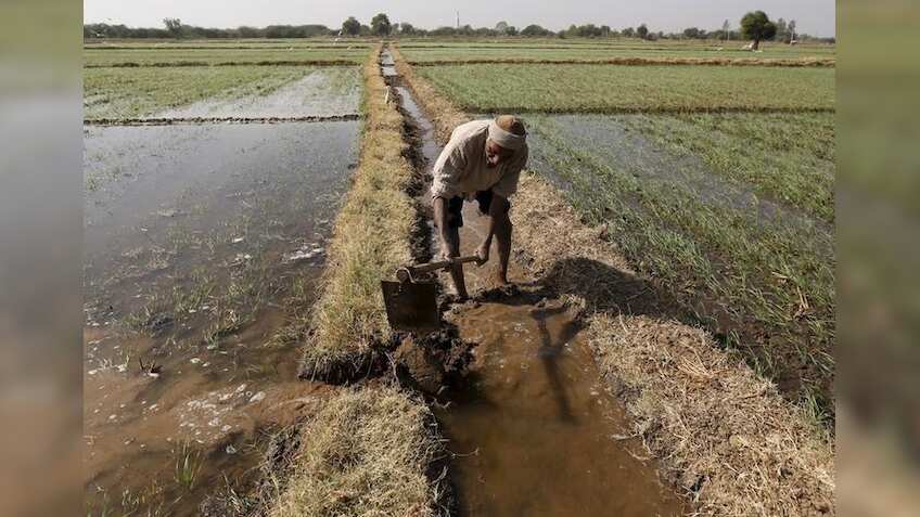 Maharashtra: Over 8,800 crop insurance certificates given during Revenue Week in Konkan division