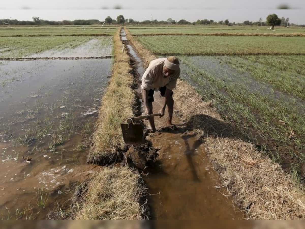 Maharashtra: Over 8,800 crop insurance certificates given during Revenue Week in Konkan division