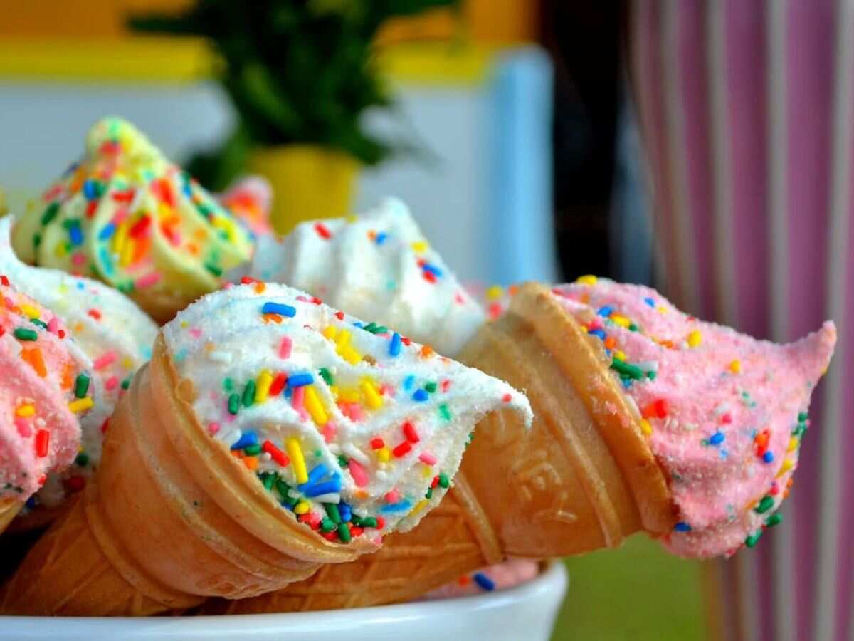 Hatsun Agro to explore new overseas markets to boost ice cream business