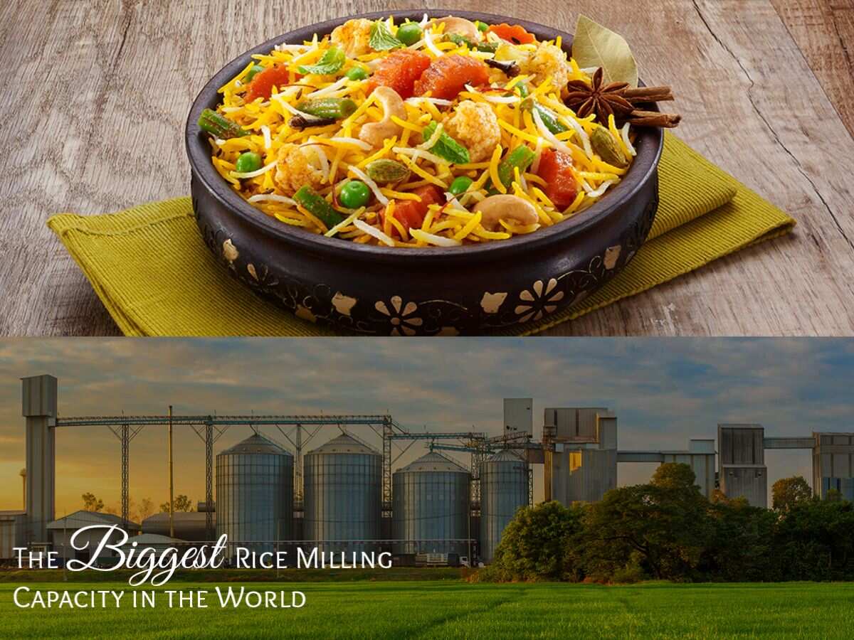 KRBL shares rise as board discusses dividend, buyback