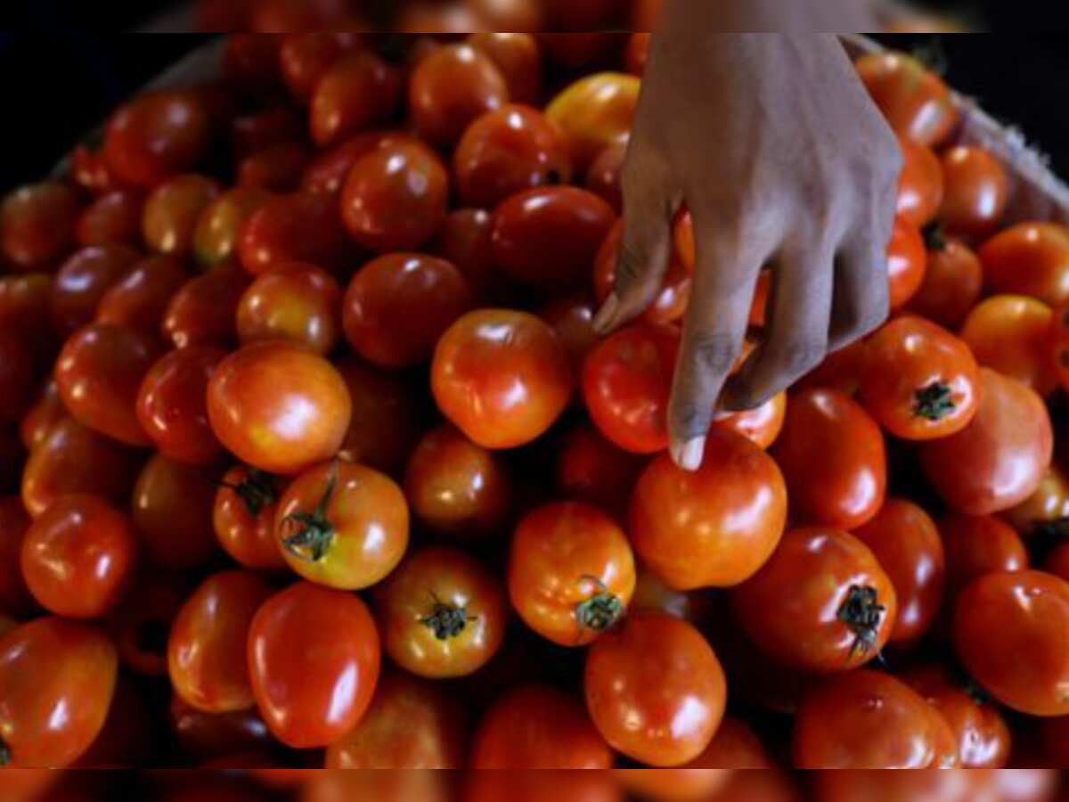 India starts importing tomatoes from Nepal amid price spike