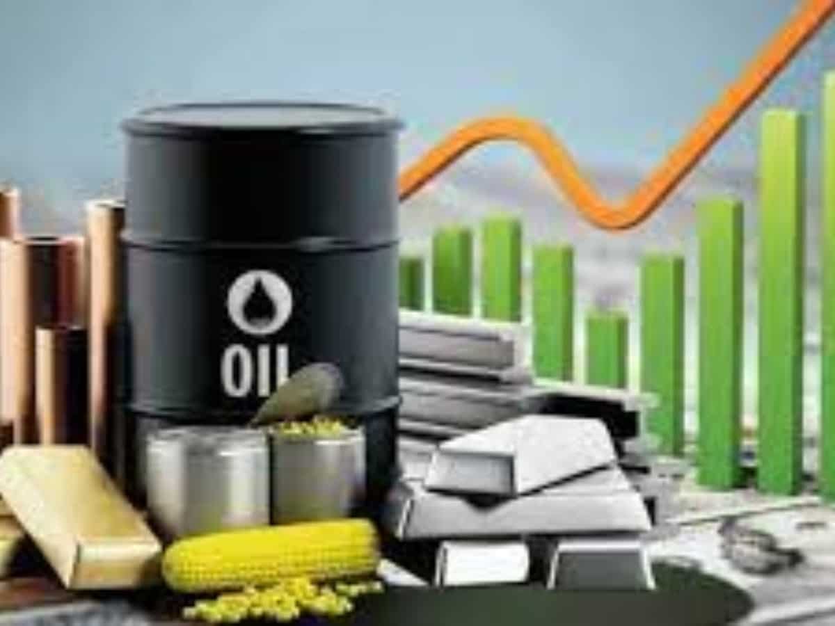 Commodity Trading: What is it and the best tips to do it?