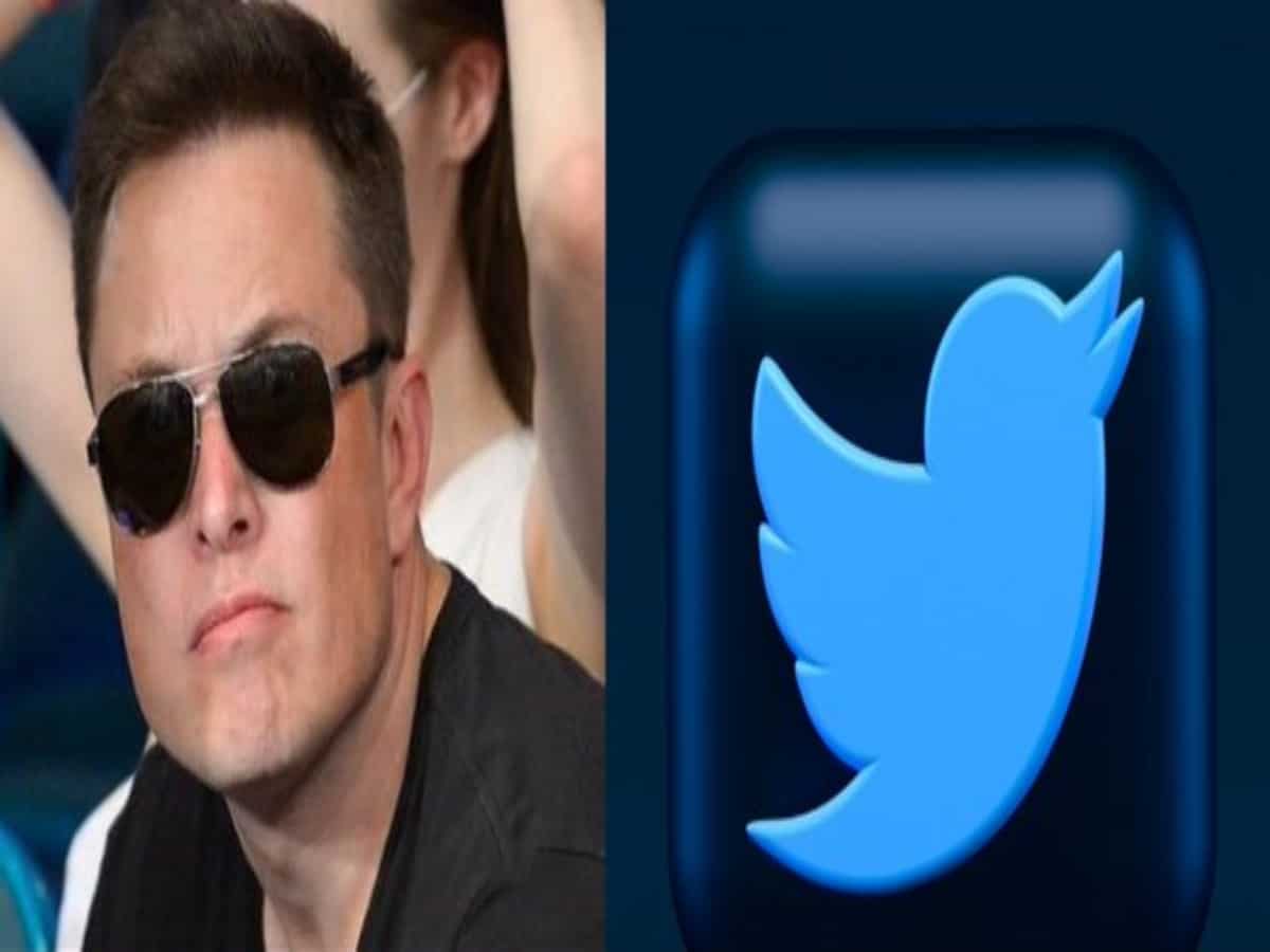 50% of environmentalists abandoned Twitter after Musk's takeover