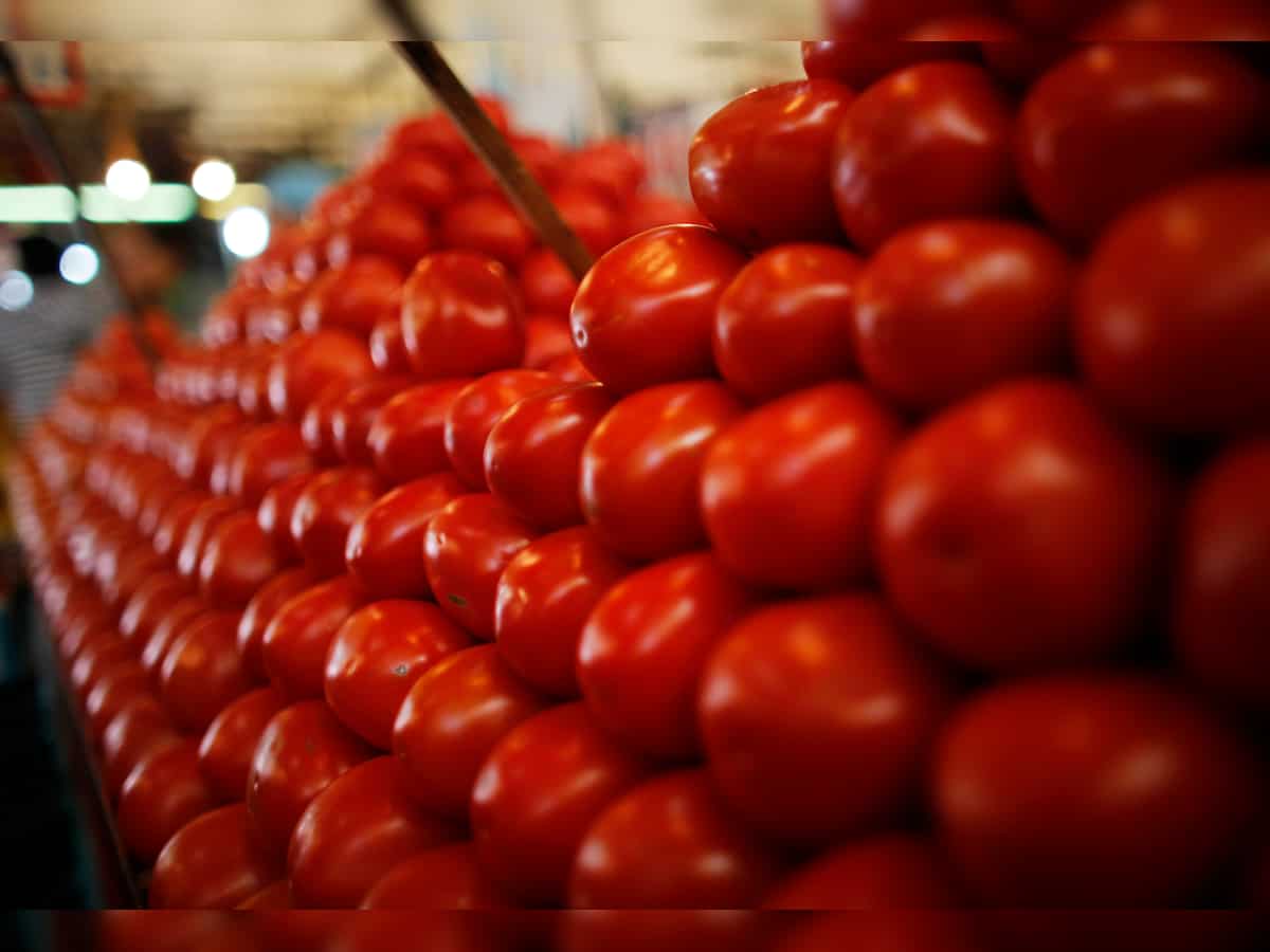  NCCF and NAFED to sell tomatoes at retail price of Rs 40 per kg from August 20