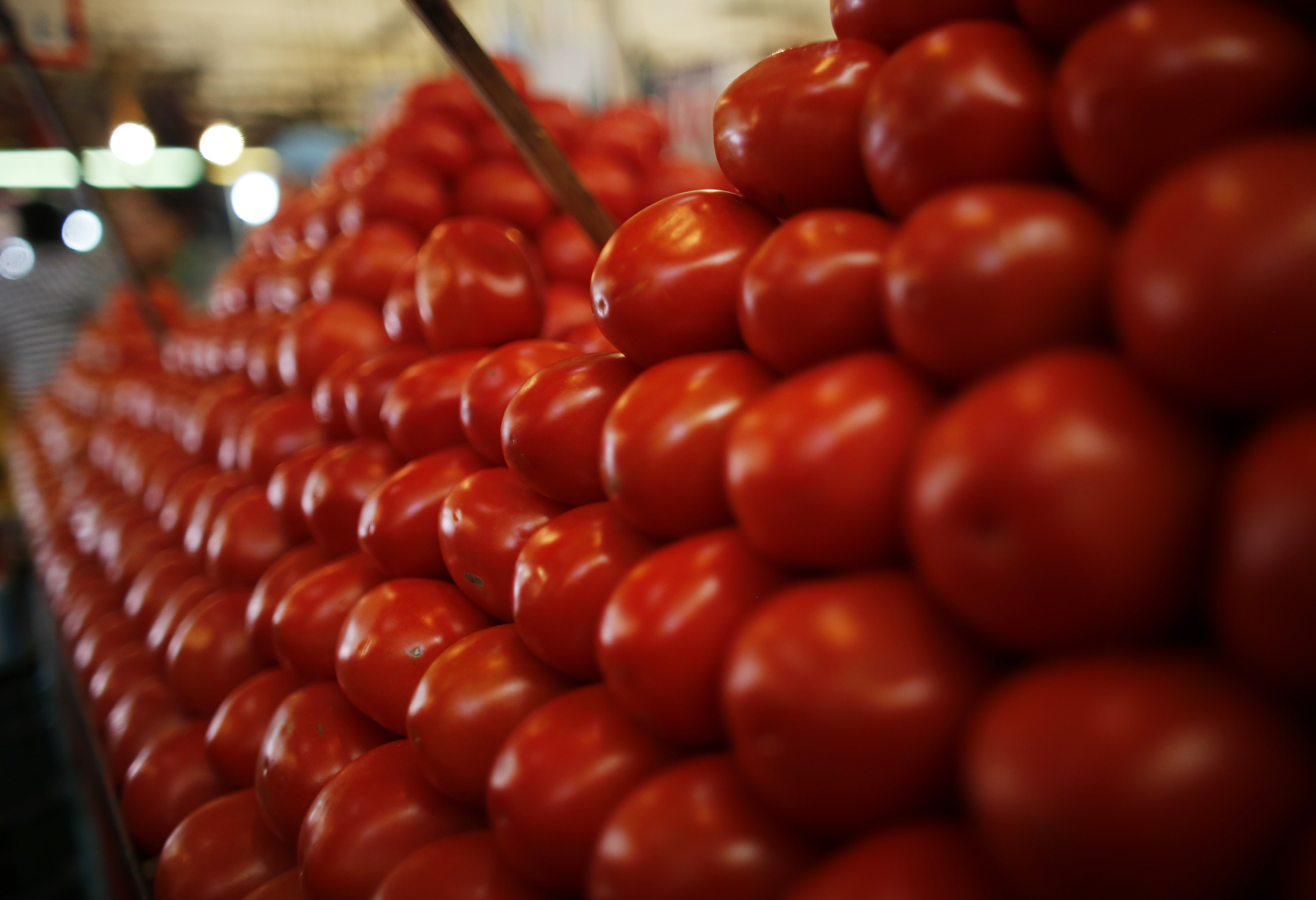 NCCF and NAFED to sell tomatoes at retail price of Rs 40 per kg from August 20