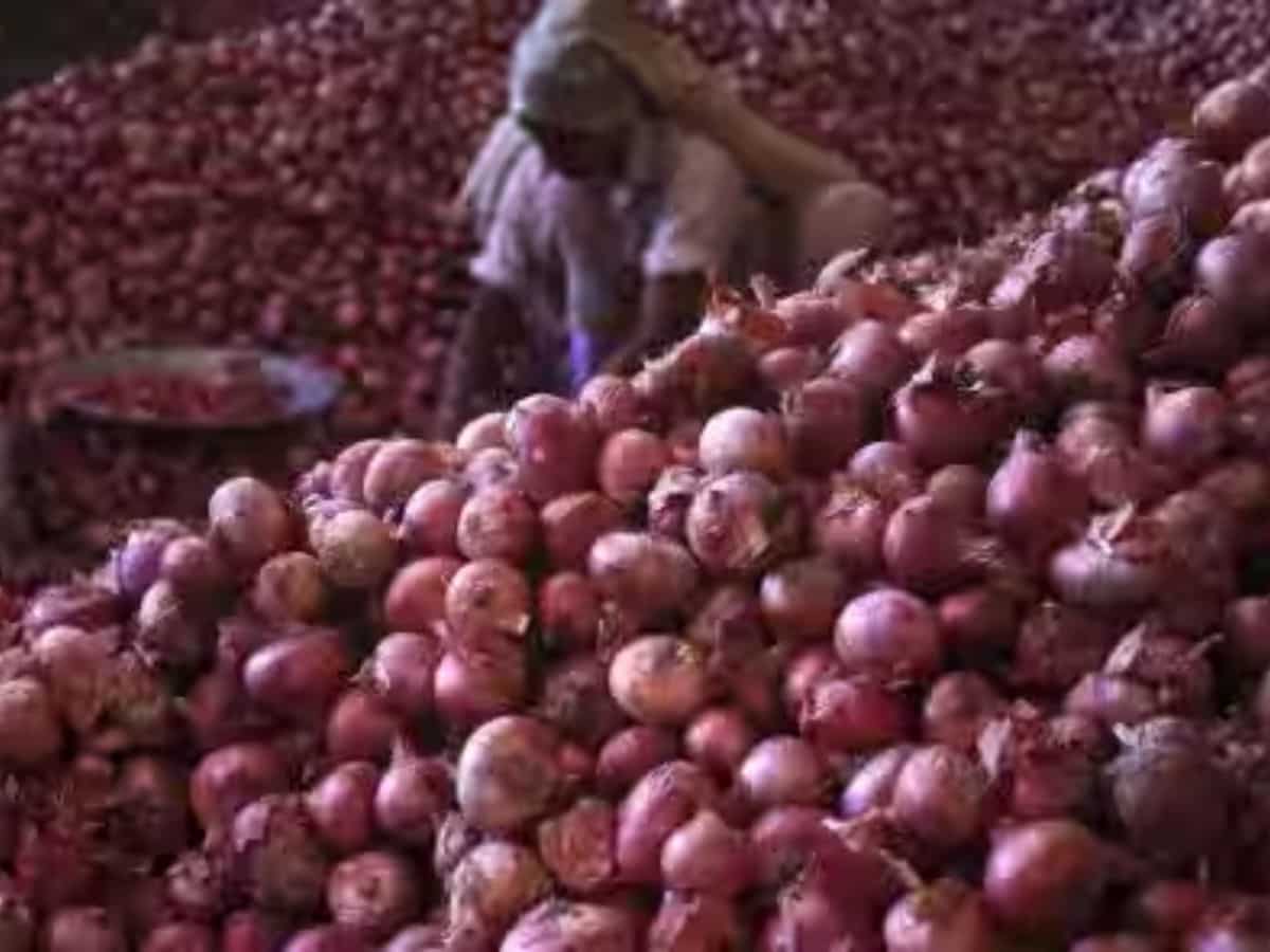 Government imposes 40% duty on onion export