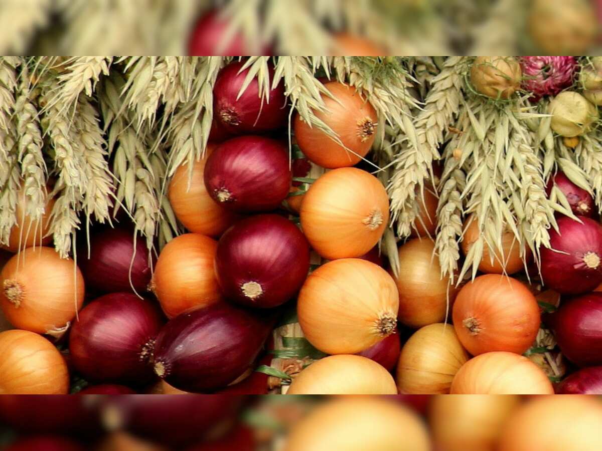 Govt to procure 2 lakh tonnne onion to create 5-lakh-tonne buffer stock this year