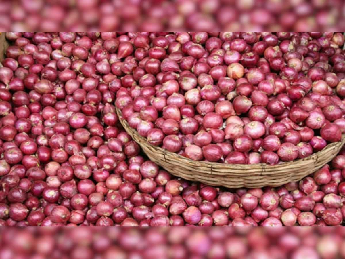 NCCF to sell buffer onion at subsidised rate of Rs 25/kg in Delhi from Monday