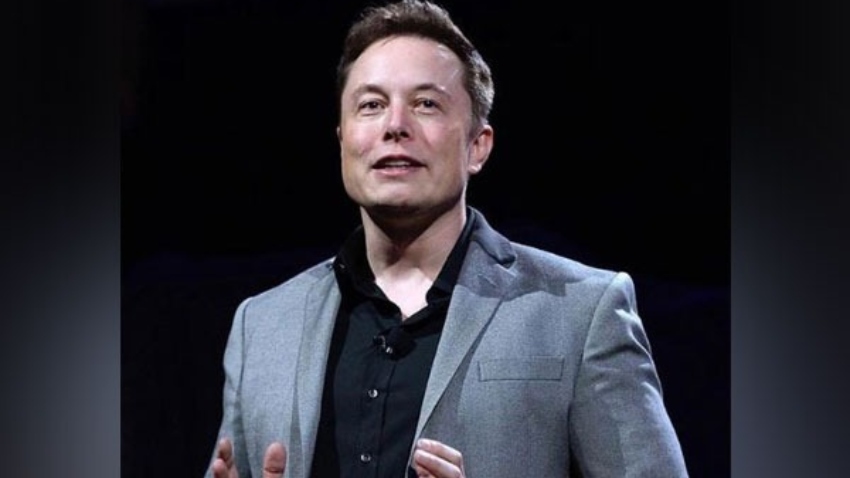 Most of Musk's 153 million X followers are fake: Report