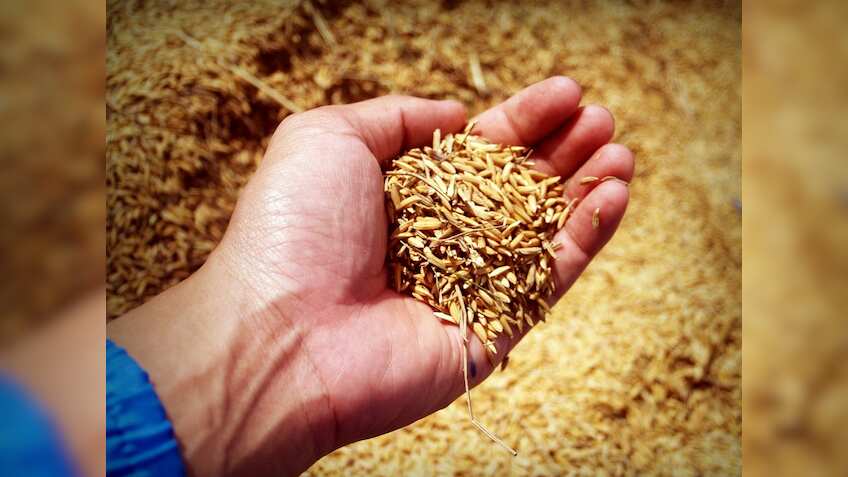 Up over 600% in 3 years, agro products major GRM Overseas launched new ...