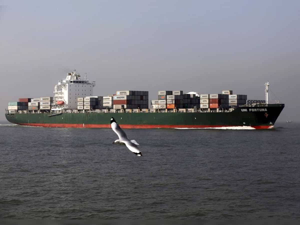 Shipping ministry wants Rs 11,000 crore over nine years to float container PLI scheme