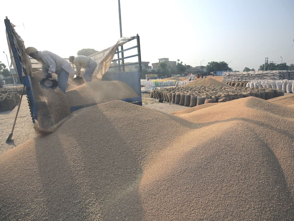  521.27 LMT rice estimated to be procured during upcoming Kharif Marketing Season: Govt