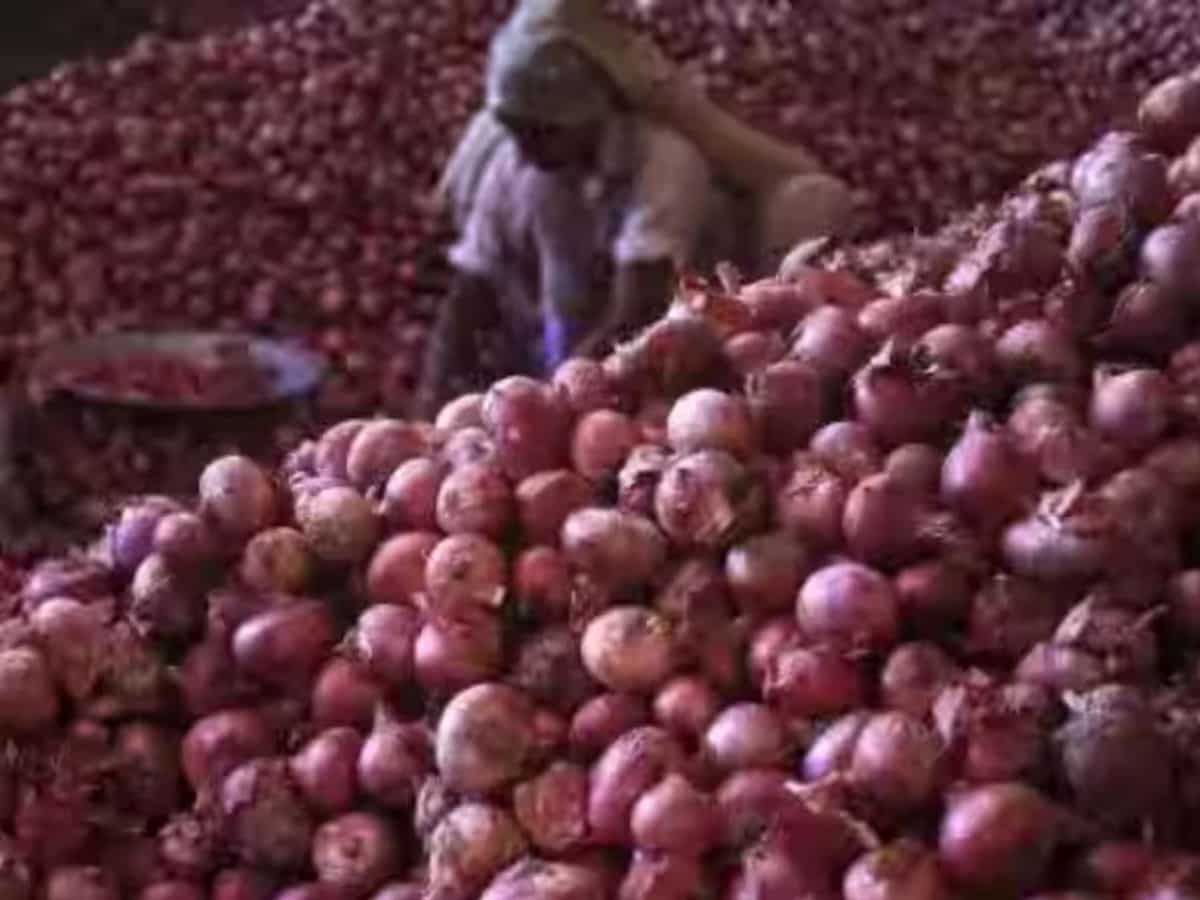 NCCF procures 2,826 tonne onion from farmers for buffer stock; to scale up buying in coming days 