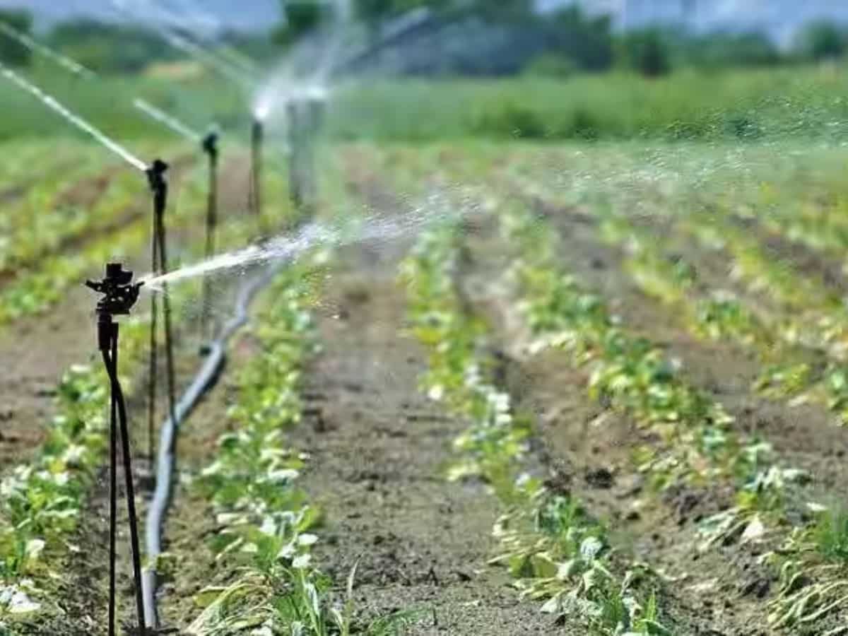 Number of micro irrigation schemes increased by 1.42 million between 201314 and 201718 Zee