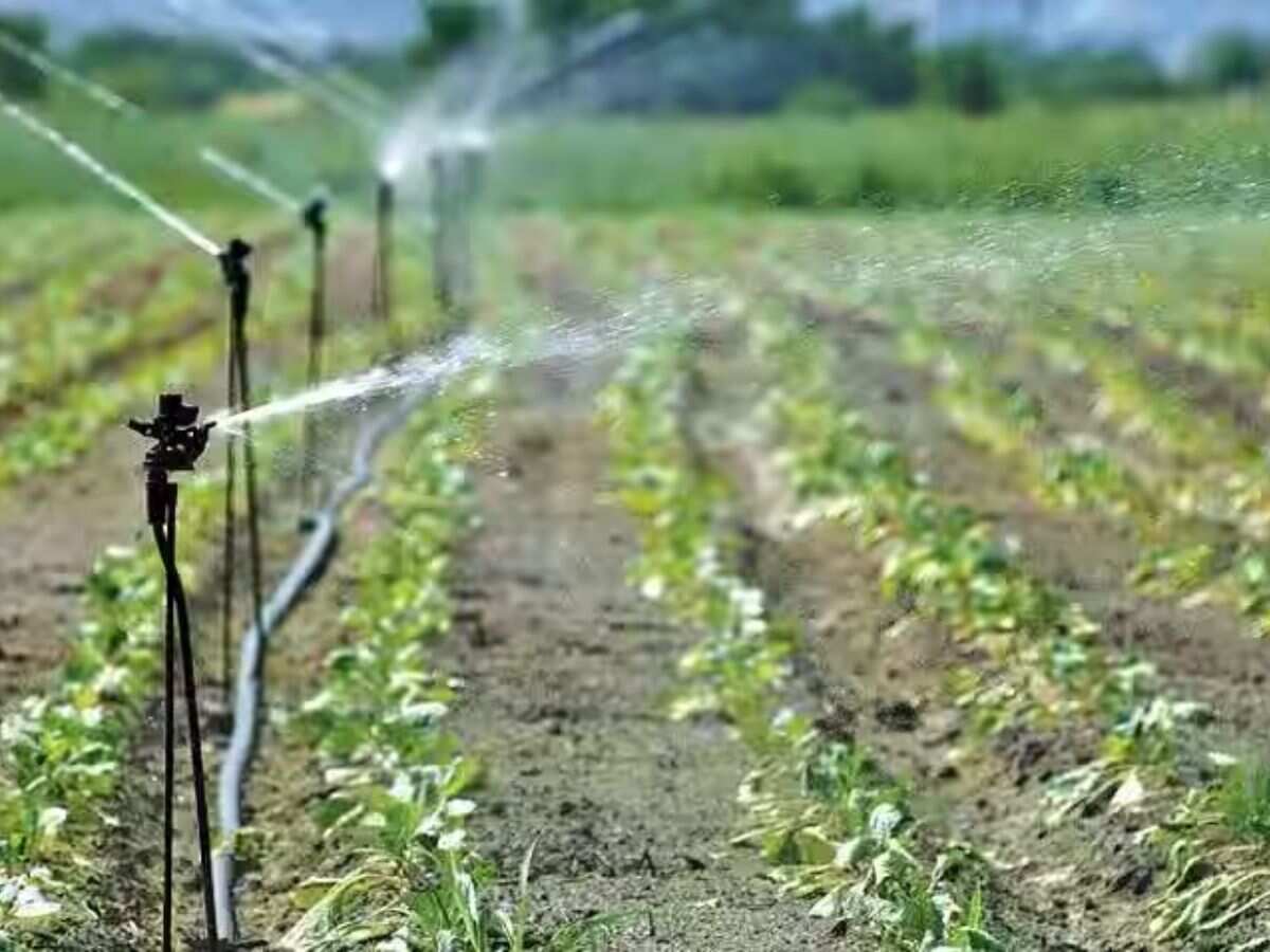 Number of micro irrigation schemes increased by 1.42 million between 2013-14 and 2017-18 