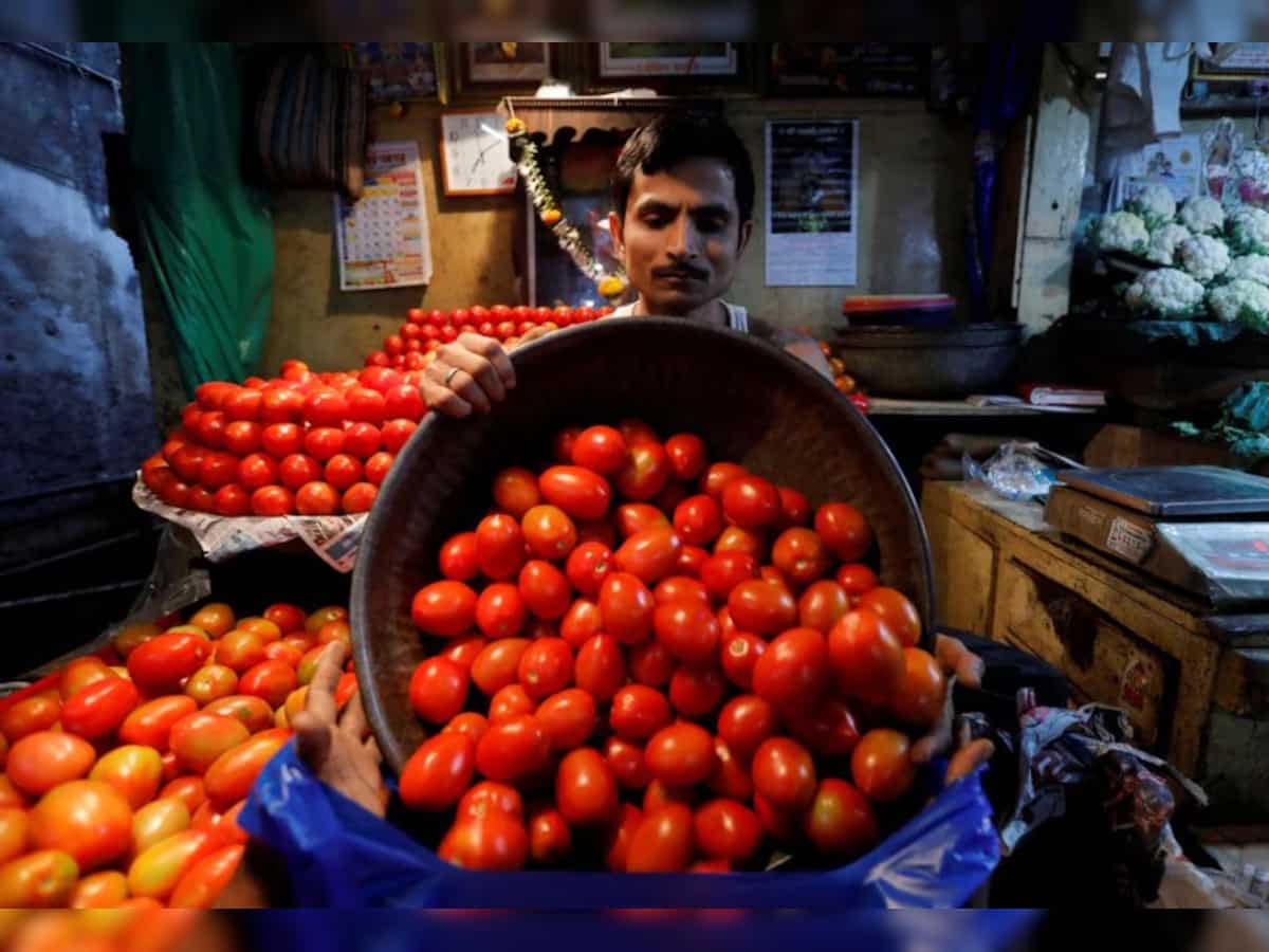 Tomato prices decline sharply in Karnataka to Rs 20 per kg as supply improves substantially 