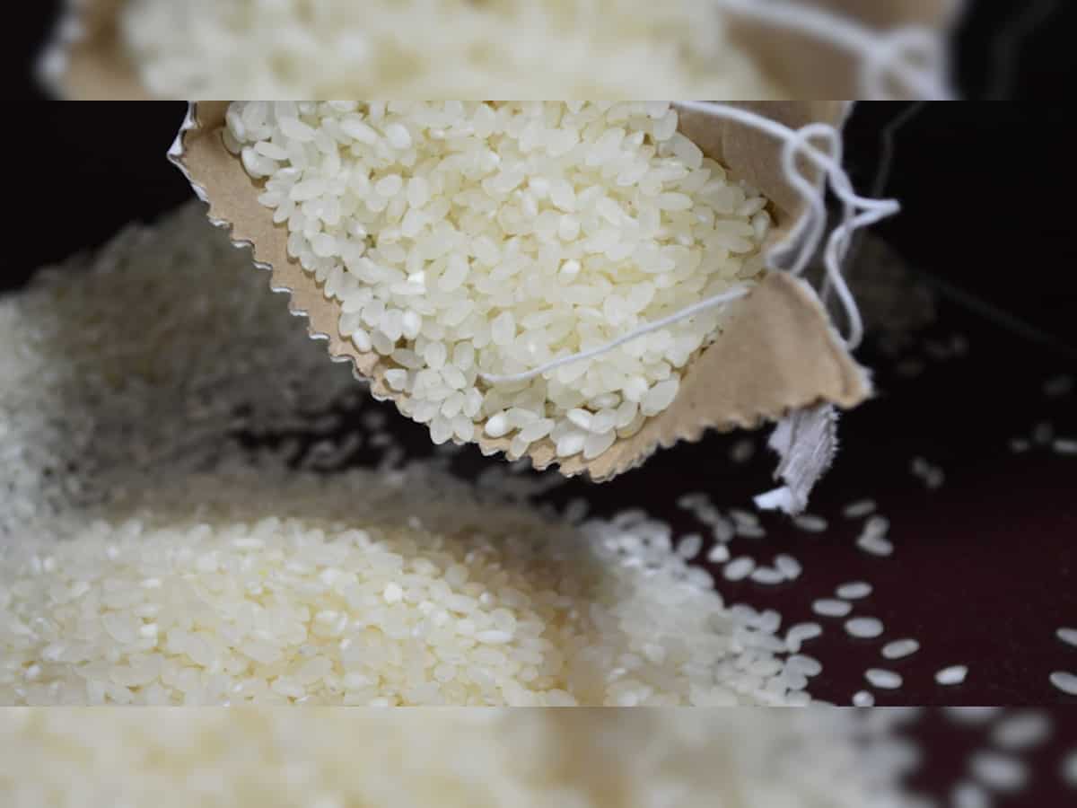 KRBL, Kohinoor, Mishtann stocks jump after government amends export ban rules for non-basmati rice