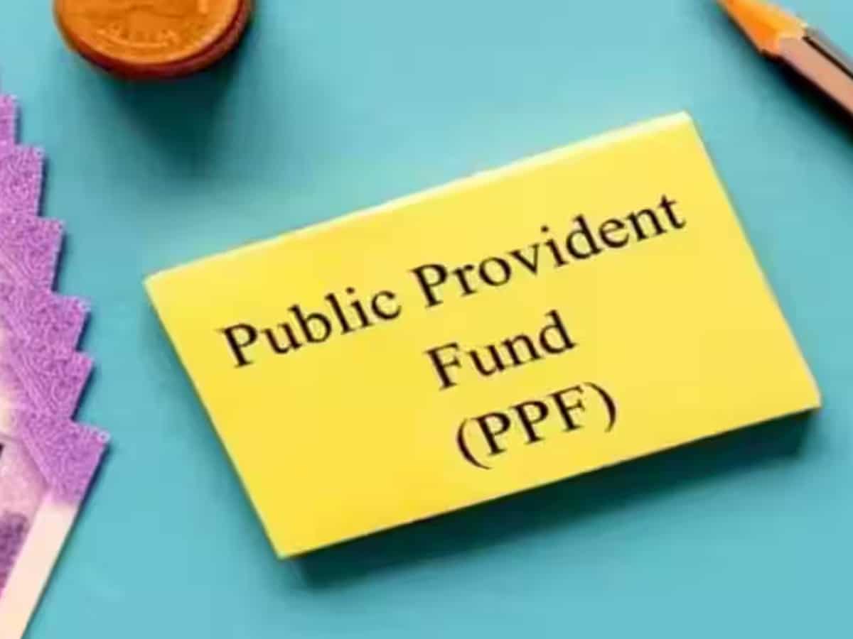 PPF Account: Under these conditions, your PPF account can become irregular