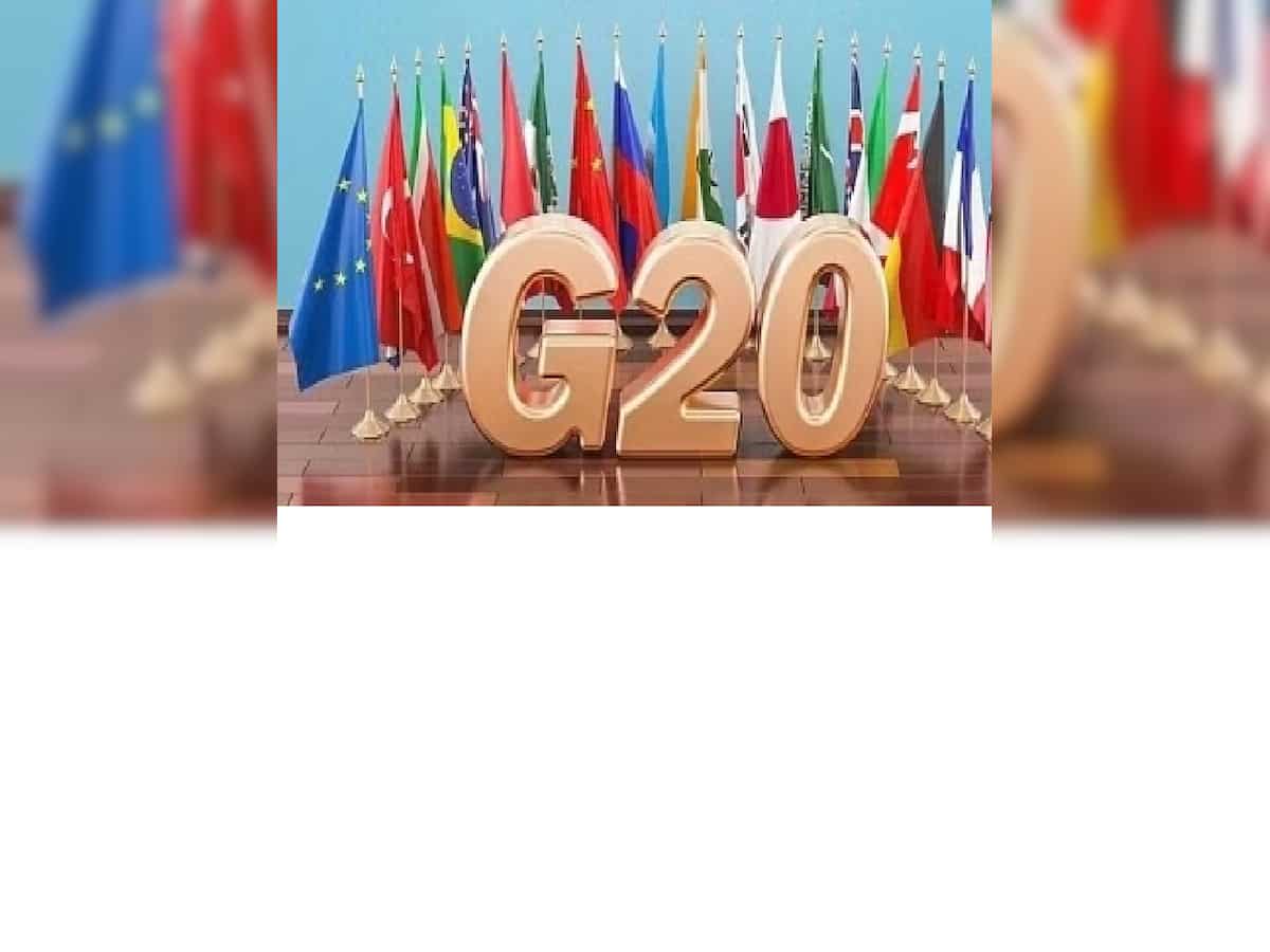 G-20 theme inspired visual campaign launched; it represents Indian spirit, says Amitabh Kant