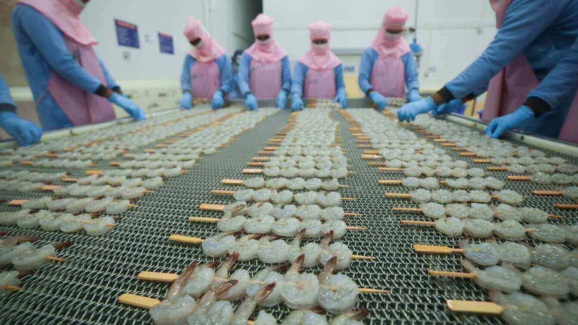 Avanti Feeds draws multi-pronged strategy for growth, to hold at least 51% in pet care JV