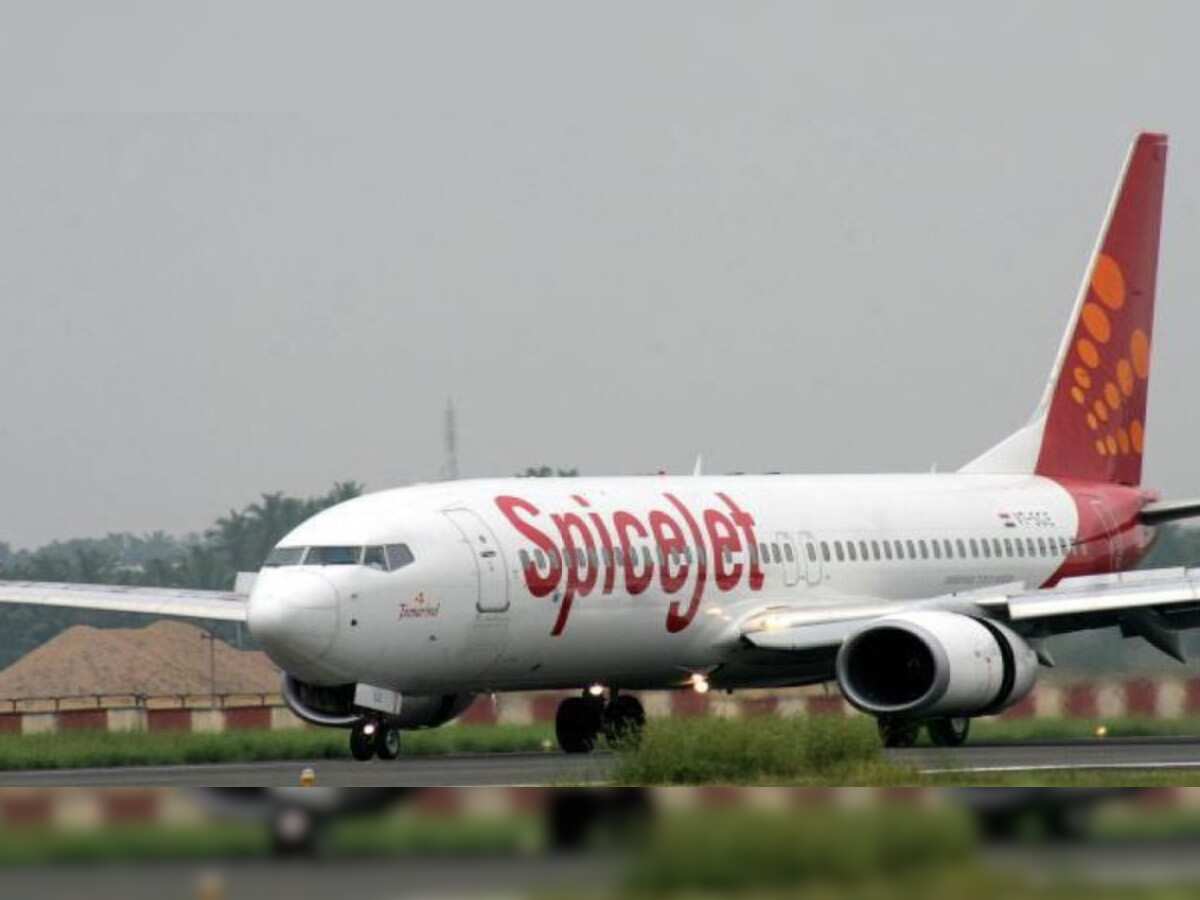 SpiceJet shares fly higher after aviation firm allots 4.8 crore shares to lessors