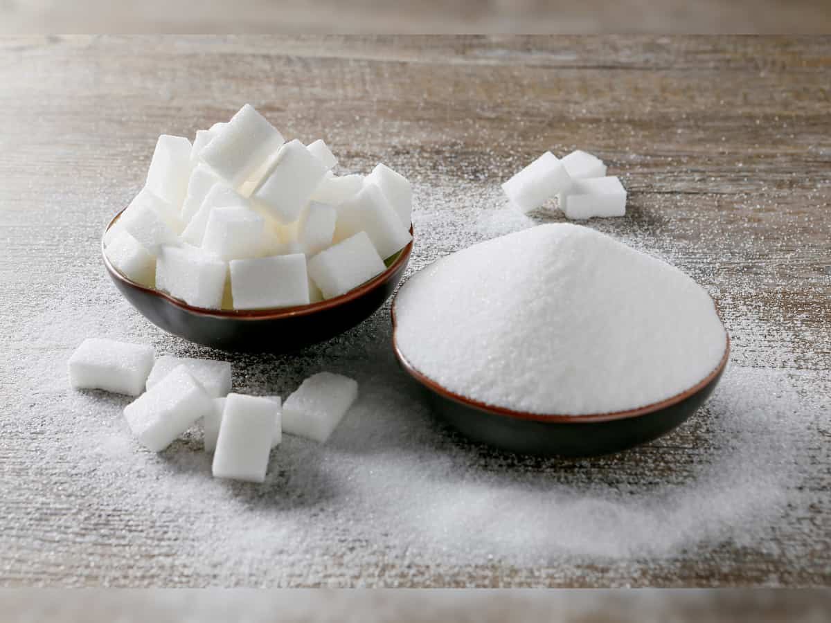 Sugar stocks rally as prices hit six-year high; Avadh Sugar zooms nearly 12%