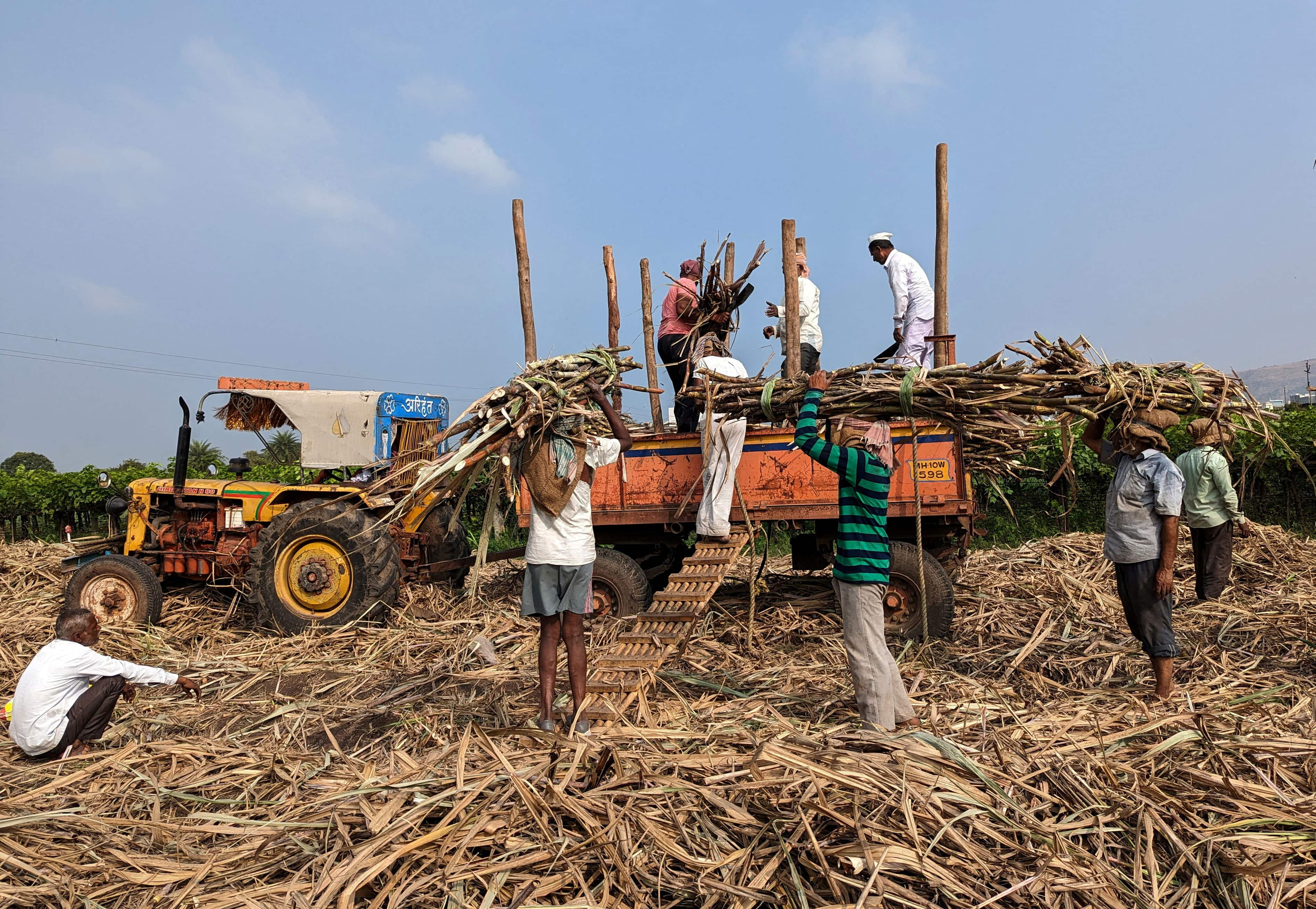 Sugar output in Maharashtra set to fall to lowest in 4 years after