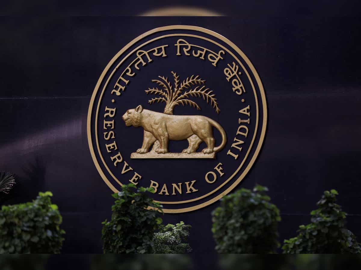 RBI can spend USD 30 billion of forex reserves to defend rupee: Report 