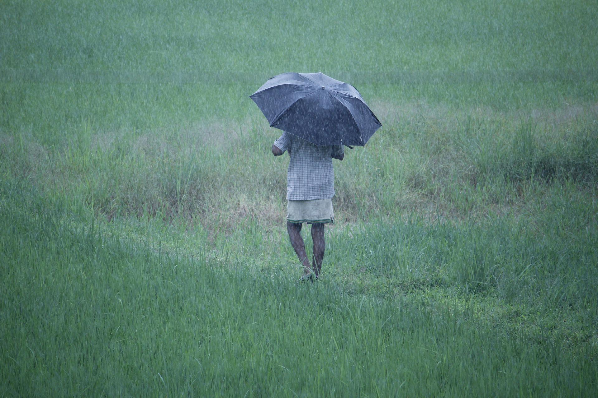 Weather Update: Heavy rains lash Nagpur, several areas waterlogged