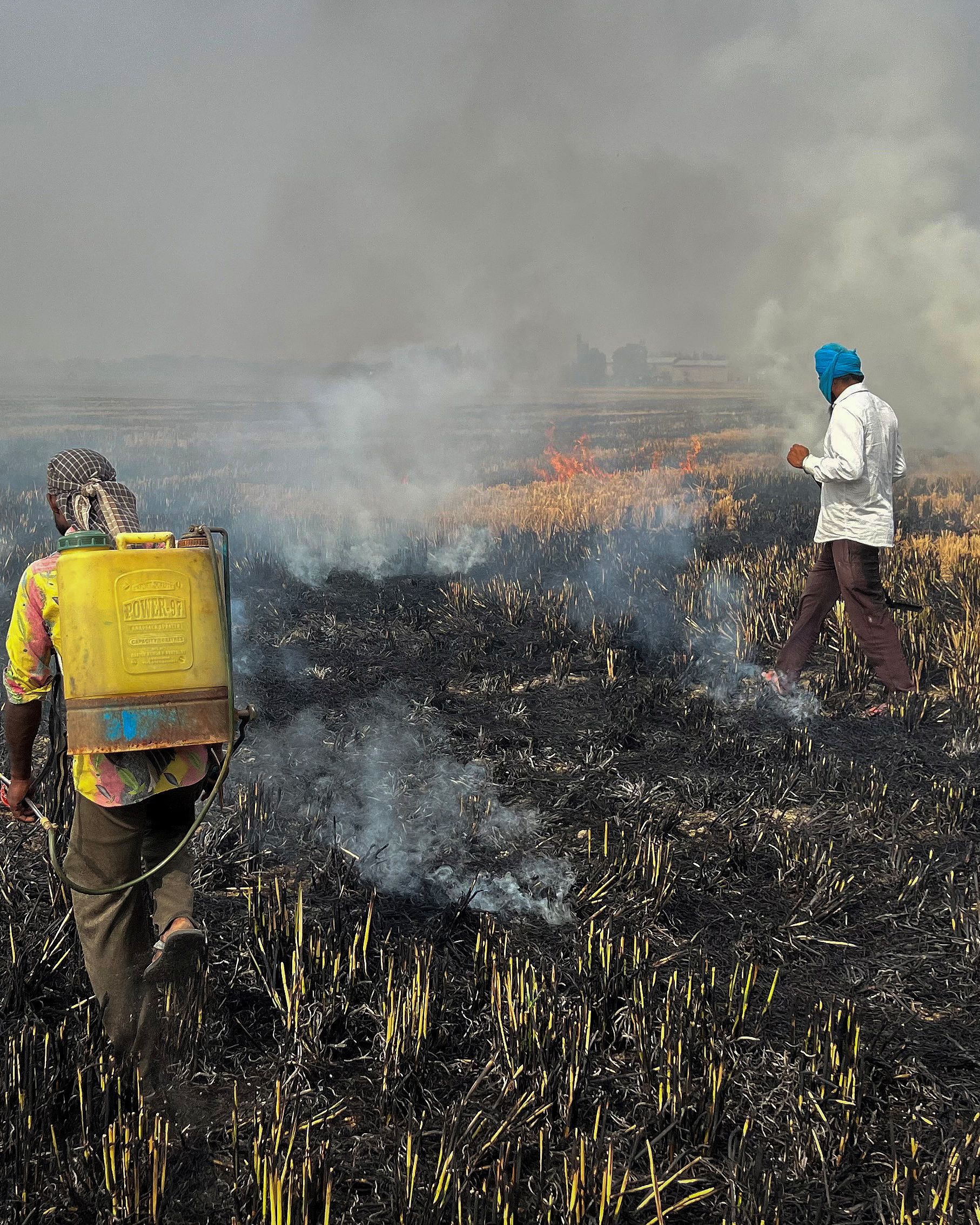IISER Bhopal finds 75% increase in greenhouse gas