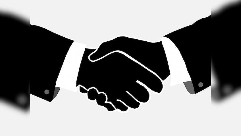 IQuest Enterprises inks pact to acquire Viatris' Indian API operations 