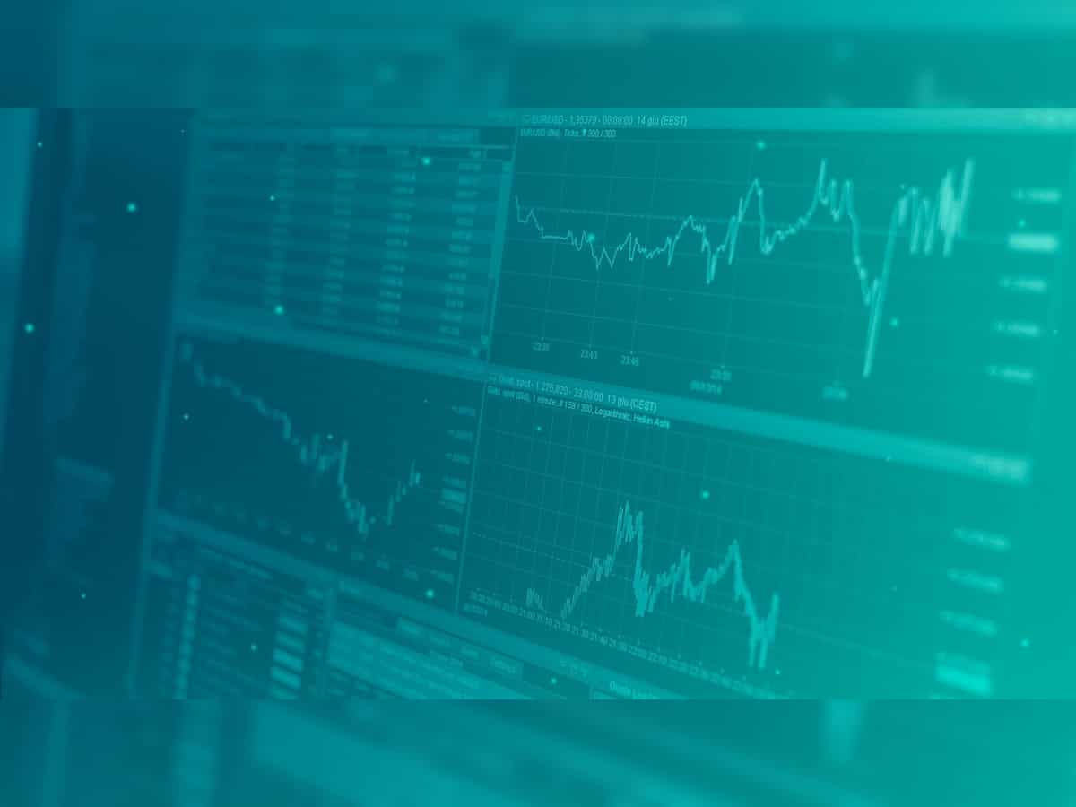 In Green Bay, Shares of Stock Are More Than a Financial Investment