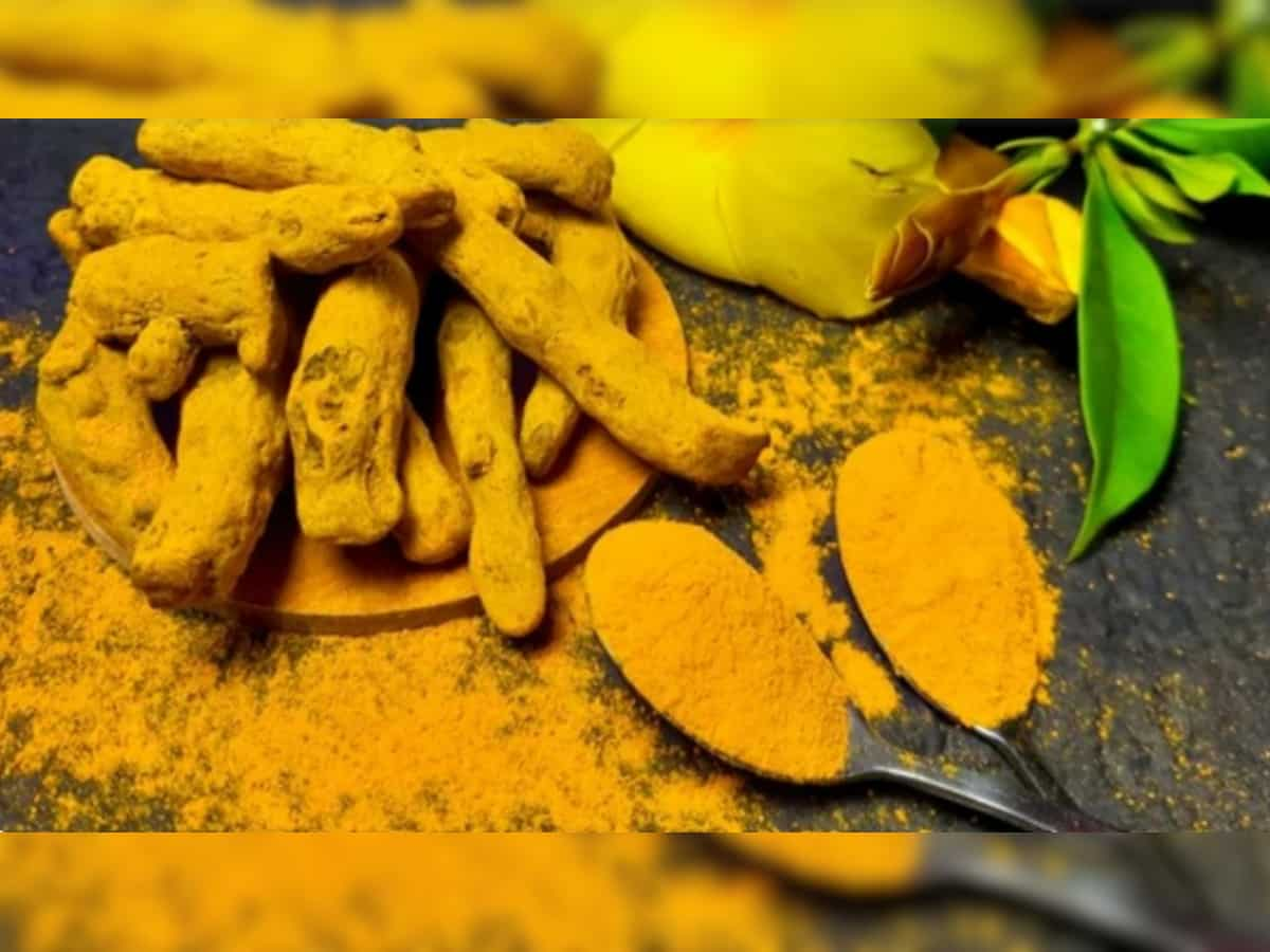 Government forms National Turmeric Board; aims to increase export from Rs 1,600 cr to Rs 8,000 cr