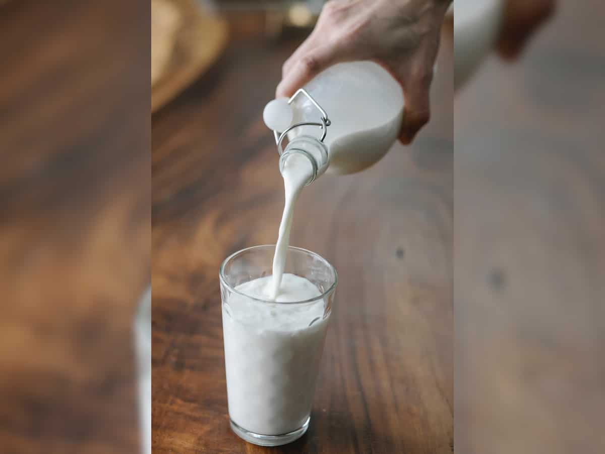 Milk, milk products must not contain protein binders, emulsifiers, other additives: Food safety regulator 