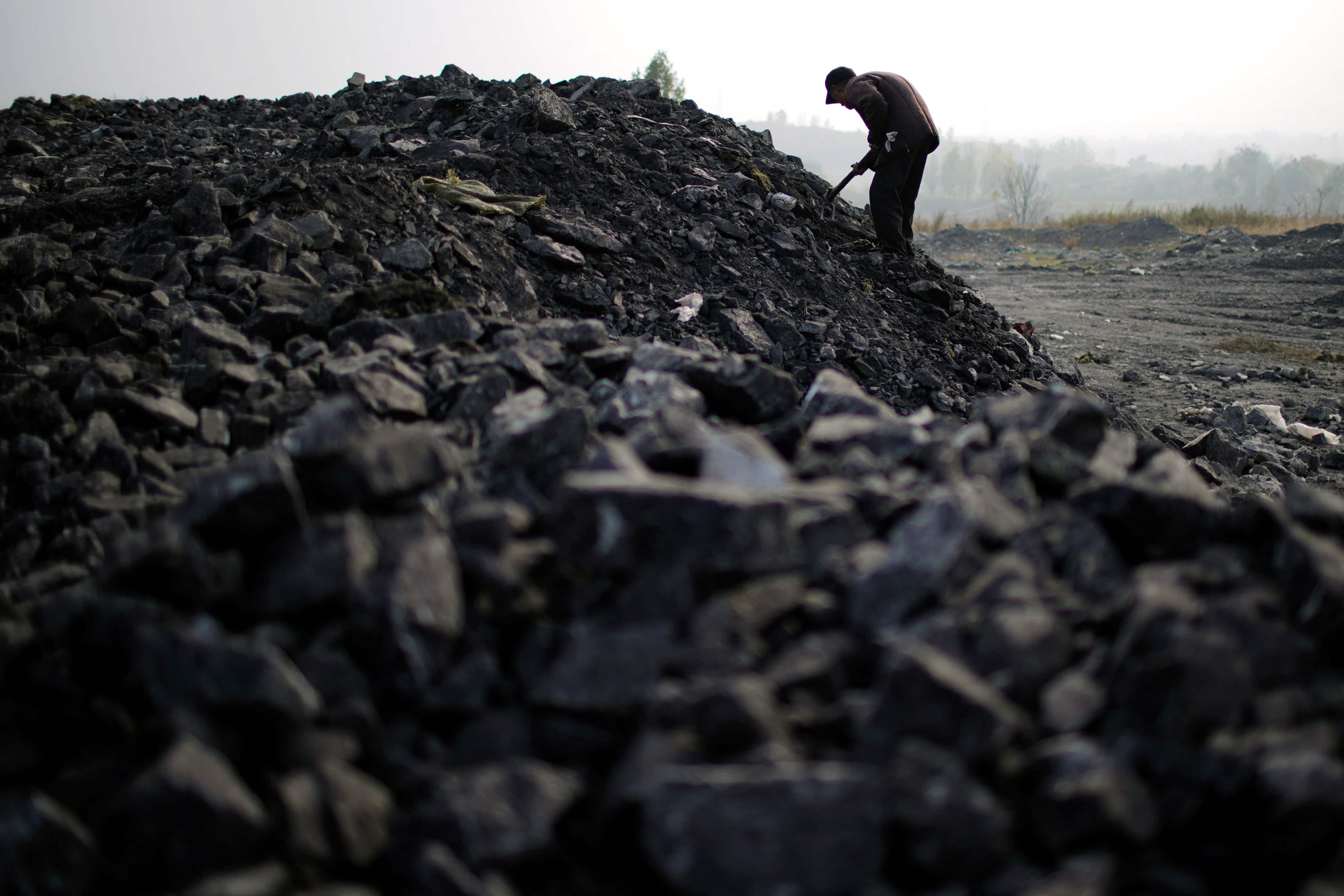 Coal India crosses Rs 300 mark after five years; here is what propelled the rally | Zee Business