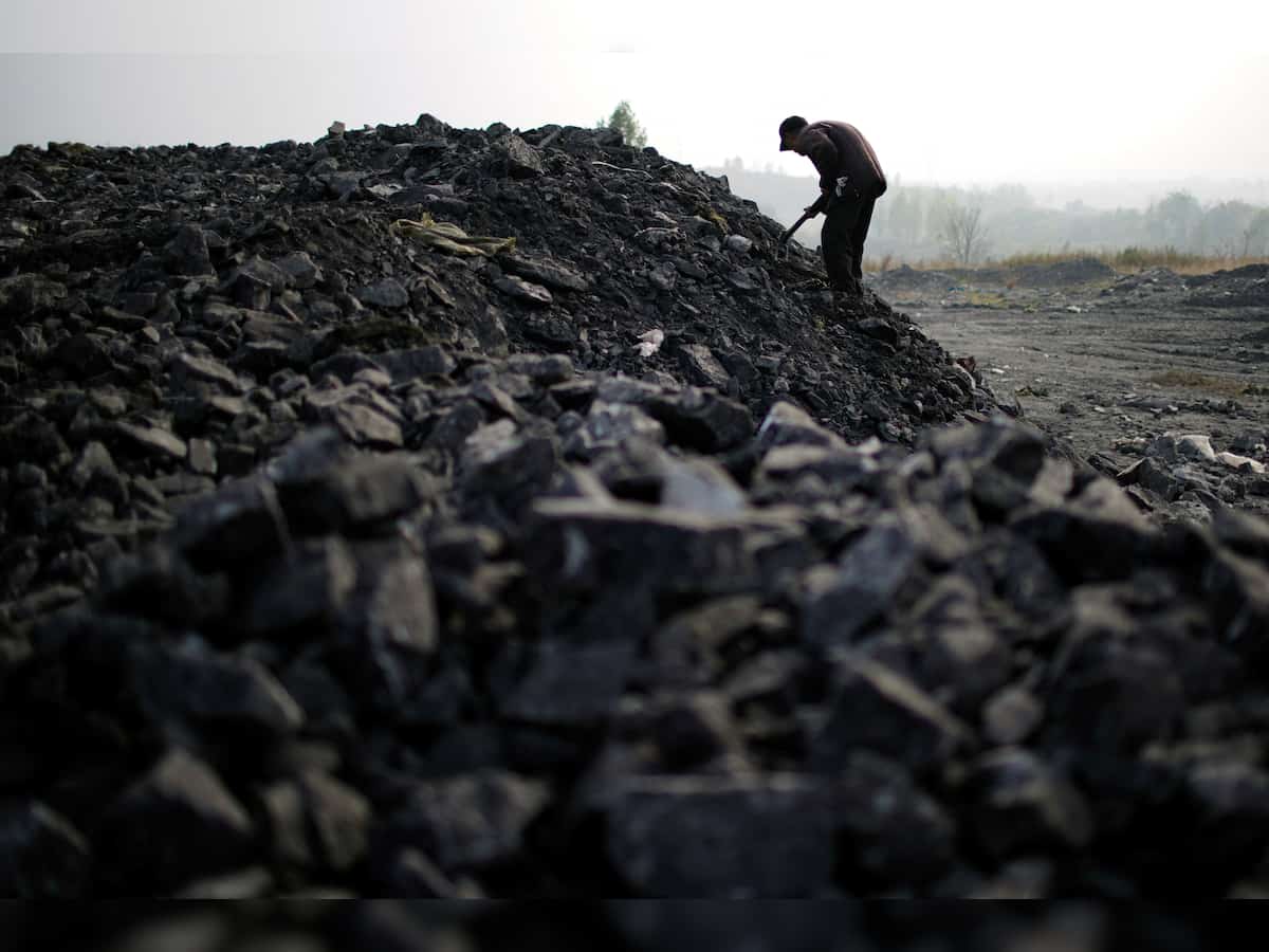 Coal India crosses Rs 300 mark after five years; here is what propelled the rally
