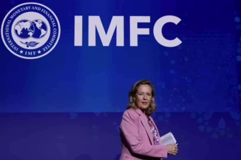 IMF steering committee calls for new funds, share plan by June 2025
