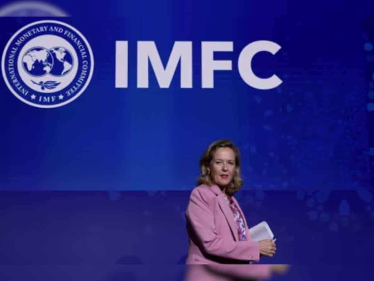 IMF steering committee calls for new funds, share plan by June 2025