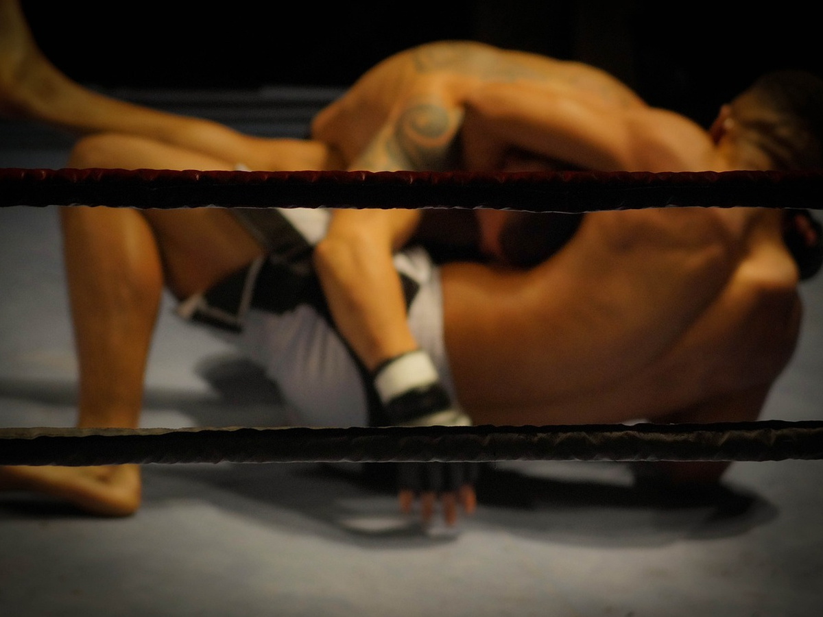 India's first sports web series 'Kumite 1 Warrior Hunt' to be screened at Kenya International Sports Film Festival