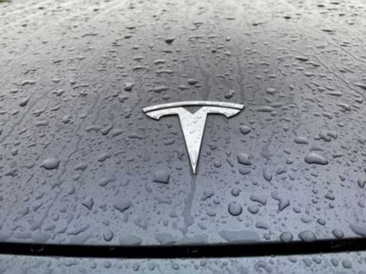Tesla urges US to adopt much tougher fuel efficiency rules