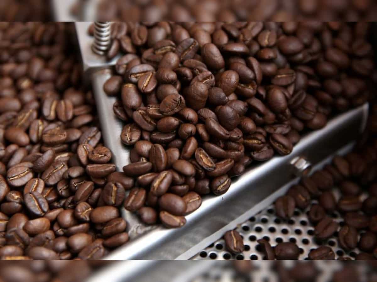 Tata Coffee Q2 Results: Net profit falls to Rs 56.70 crore