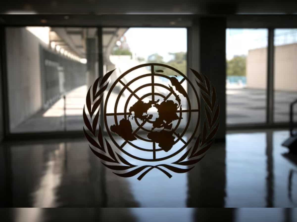 United Nations Day 2023: Date, history, message