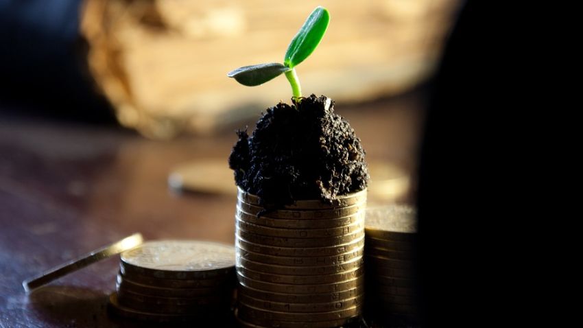 Tech Mahindra Dividend 2023 Board Announces 240 Payout check Out tech-mahindra-dividend-2023-board-announces-240-payout-check-out