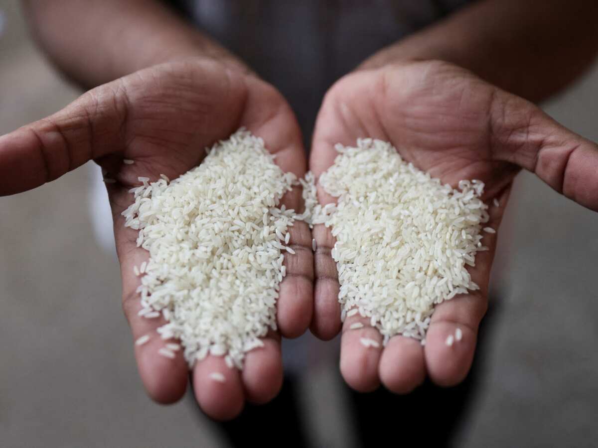 Government cuts floor price of basmati exports to $950 per tonne