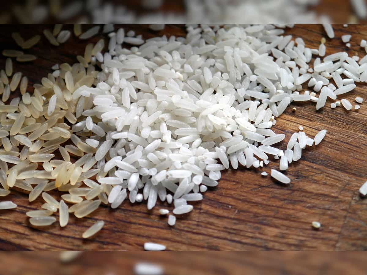 Centre estimates 3.79% lower kharif rice production at 106.31 million tonnes 