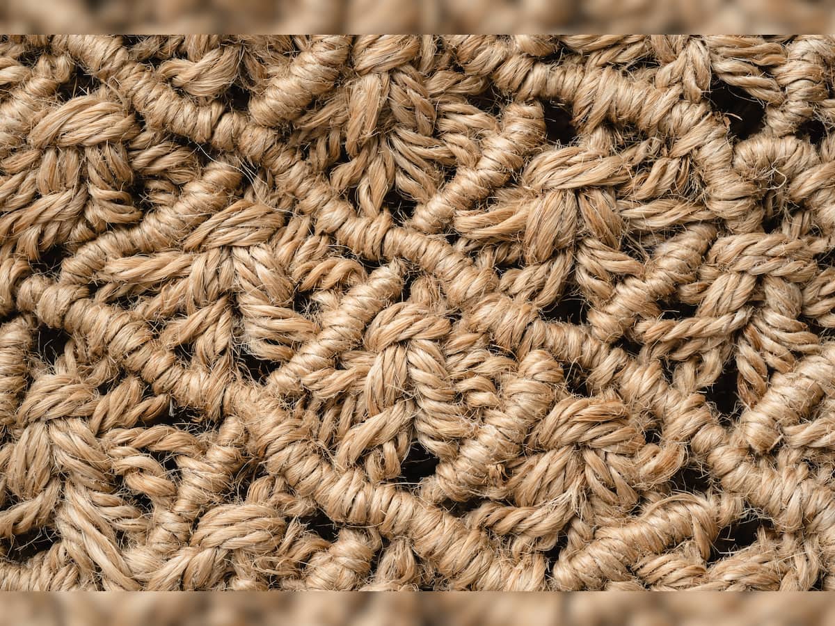 Minimum support price on raw jute to remain in force till January 31