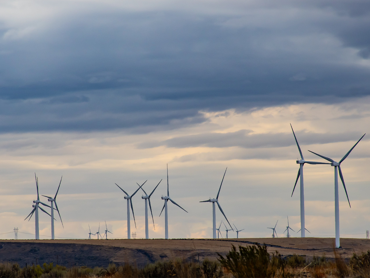 Renewable energy sources can meet 65% of world's